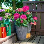 Widokowka 13 וילה